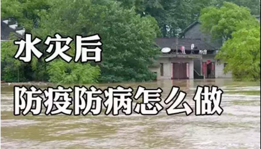 &#19975;&#35937;&#22478;&#23448;&#32593;&#28216;&#25103;&#20013;&#24515;&#65288;&#20013;&#22269;&#65289;&#23448;&#26041;&#32593;&#31449;